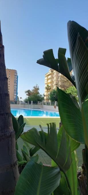 Elegante Alojamiento Con Piscina A 200 M Del Mar. Appartement Benalmádena Buitenkant foto